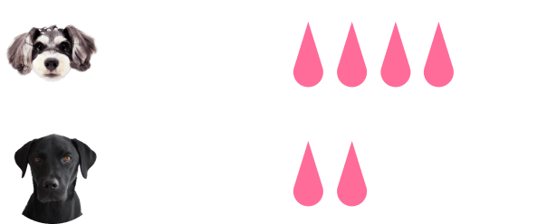 中型犬3~4回分 大型犬1~2回分